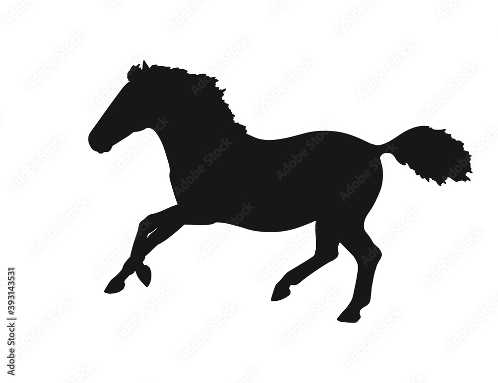 Fototapeta premium Young pony playing on the freedom vector silhouette