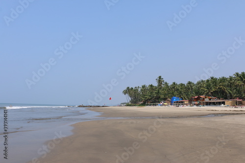 palm trees near the sea India Goa