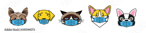 Bulldog, corgi, labrador, terrier and cat in mask