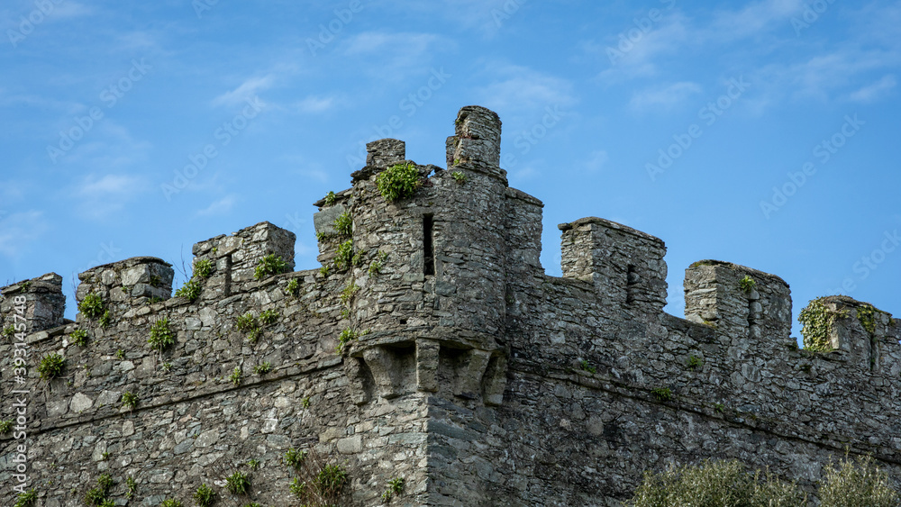 Symmetric Turret and Battlements on an Ancient Castle in Ireland