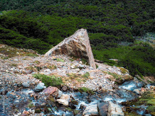 rocks in the forest