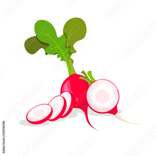 Set of fresh whole, half, cut slice and piece of radish isolated on white background. Vegan food vector vegetable icons in a trendy cartoon style. Healthy food concept.	
