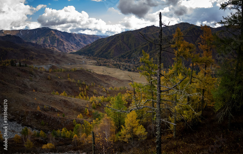 panorama of autumn in Altai, Russia, Gorny Altai