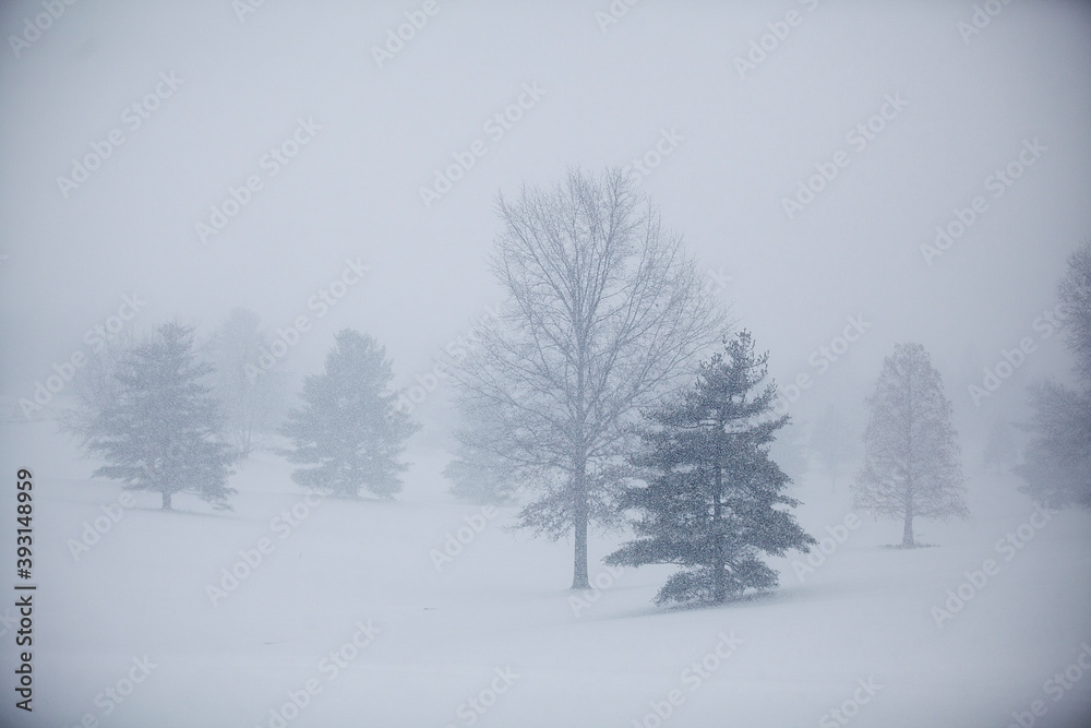 The Jasper Municipal Golf Course received a fresh blanket of snow on Friday. The Jasper Municipal Golf Course received a fresh blanket of snow on Friday.