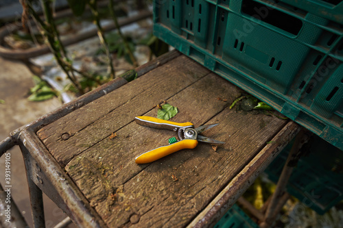 On a wooden step of the platform lies a pruner with yellow handles, next to green boxes for vegetables.