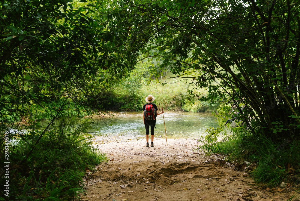 Back view of faceless tourist with backpack and wooden stick standing near clear pond in forest and admiring natural landscape Back view of faceless tourist with backpack and wooden stick standing near clear pond in forest and admiring natural landscape