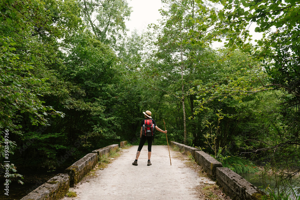 Back view of relaxed tourist with backpack and wooden stick standing on shabby bridge in woods and enjoying amazing natural landscape Back view of relaxed tourist with backpack and wooden stick standing on shabby bridge in woods and enjoying amazing natural landscape
