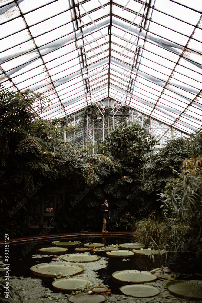 Remote view of anonymous tourist standing near pond with plants in glass hothouse on cloudy day in Scottish Highlands Remote view of anonymous tourist standing near pond with plants in glass hothouse on cloudy day in Scottish Highlands