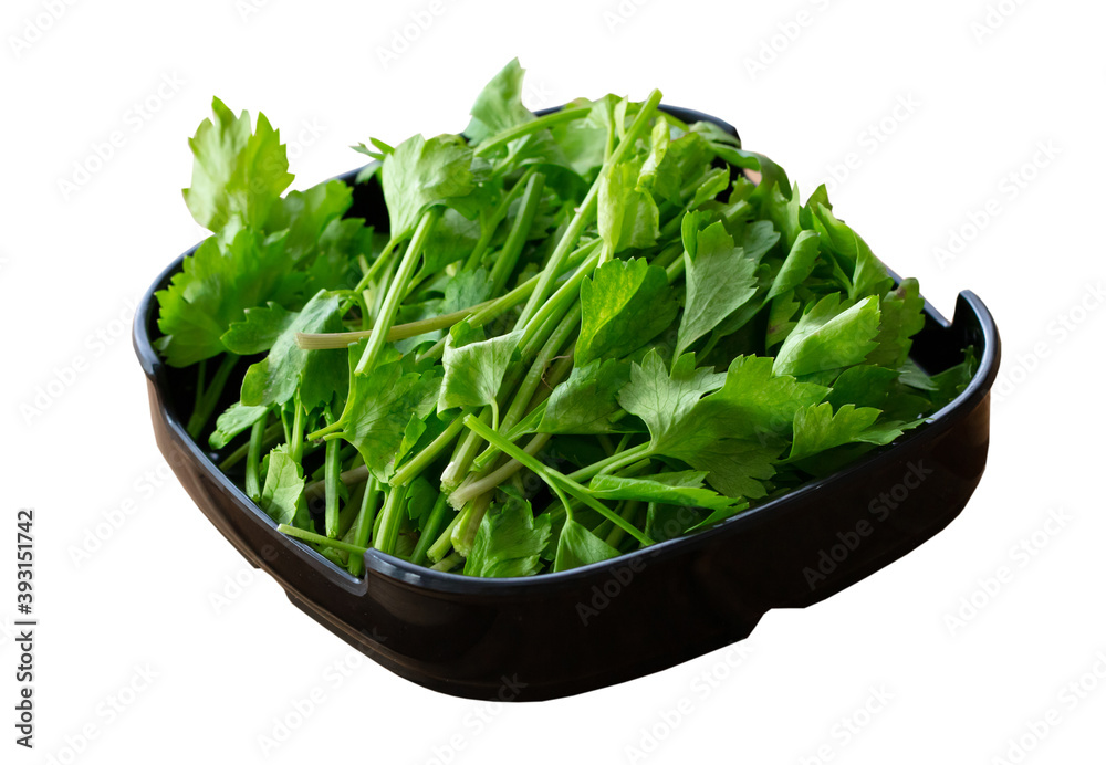 fresh raw celery sliced on square plate isolated on white background, shabu, hot pot ingredients fresh raw celery sliced on square plate isolated on white background, shabu, hot pot ingredients