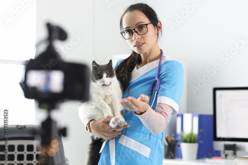Veterinarian records the examination of the cat on camera. Helping pets online concept