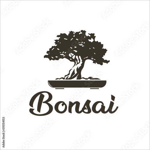 bonsai oak tree logo design template silhouette vector