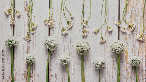 Wallpaper Mural Top view of various white wildflowers arranged on shabby wooden table at home Torontodigital.ca