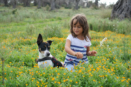 Beautiful Terrier in a meadow with her friend, a 5 year old girl 