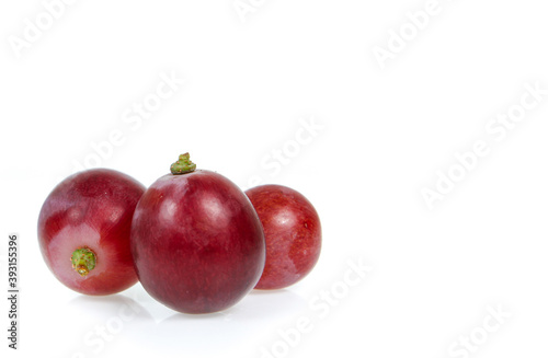 copy space red grapes isolated on white background