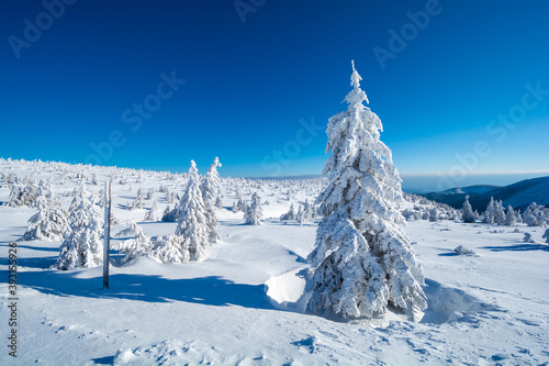 beautiful winter landscape in sunny day