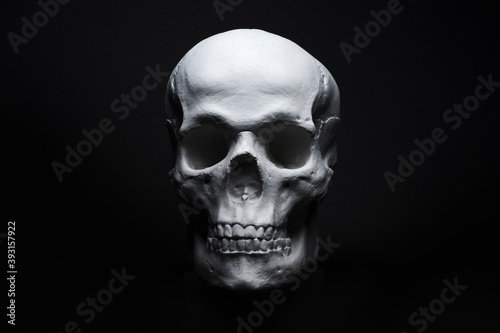 white skull on black background 