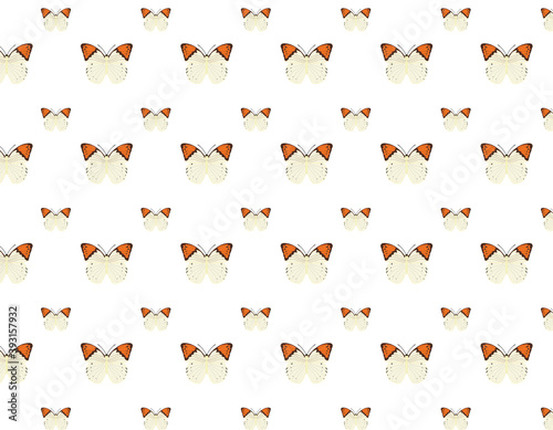 pattern background, white and orange butterflies