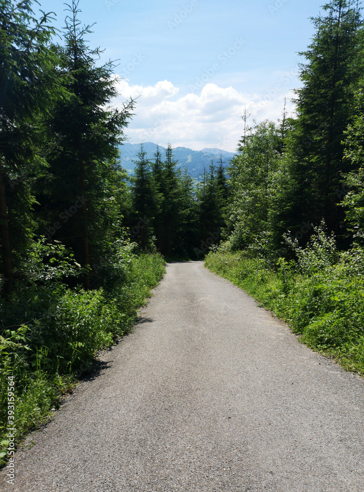 road in the mountains road in the mountains