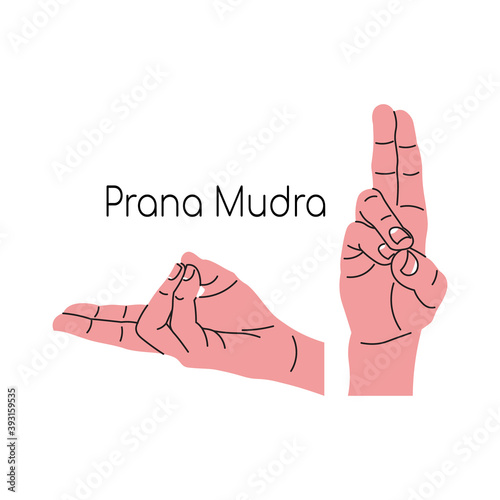 Prana mudra or Peace mudra or Shanti mudra. Yoga hand gesture. Meditation. Vector illustration in flat minimalism design. Isolated on a white background.