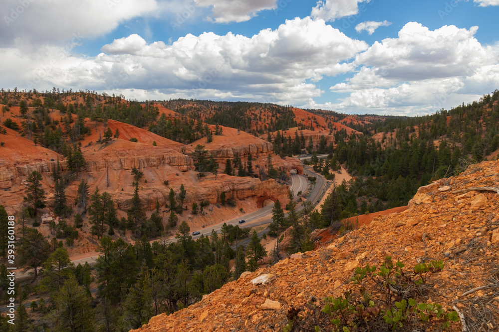 Obraz premium Red Canyon Arch, Utah 
