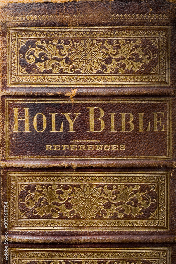 Old family Bible 1800's