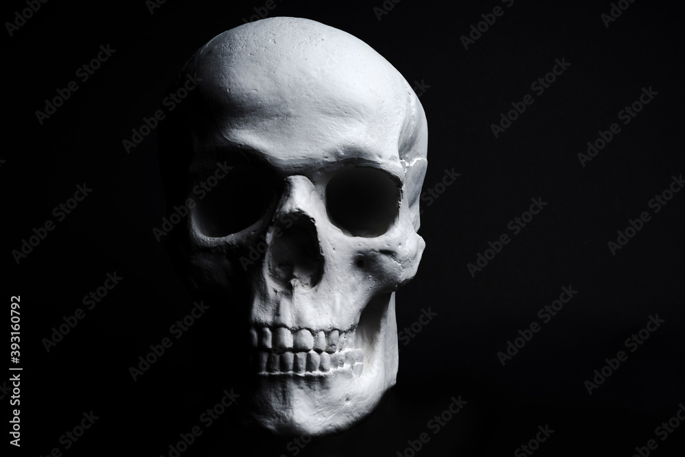 white skull on black background white skull on black background