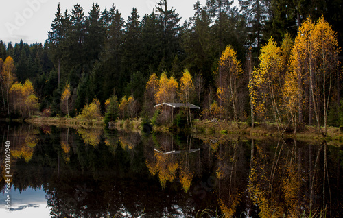 abandoned rustic wooden cabin in the woods in autumn