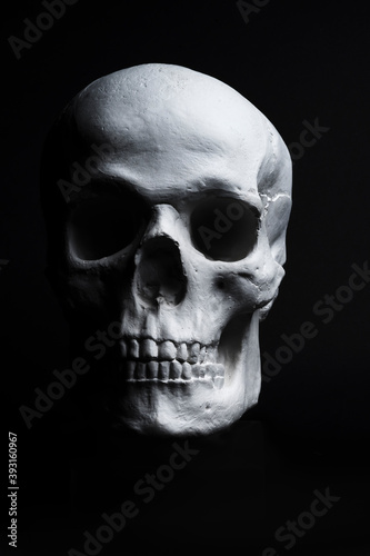 white skull on black background 