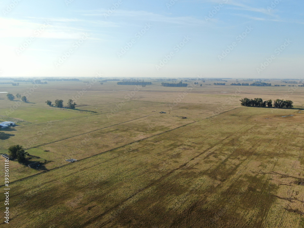 Vista aérea de campos dedicados a la agricultura, con color amarillento por la sequía.