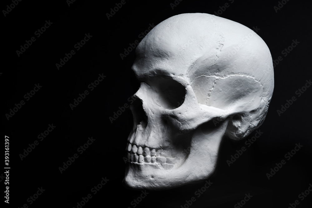 Obraz premium white skull on black background