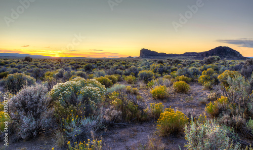 Scenic view of sagebrush and rabbitbush with Fort Rock in background during sunset photo