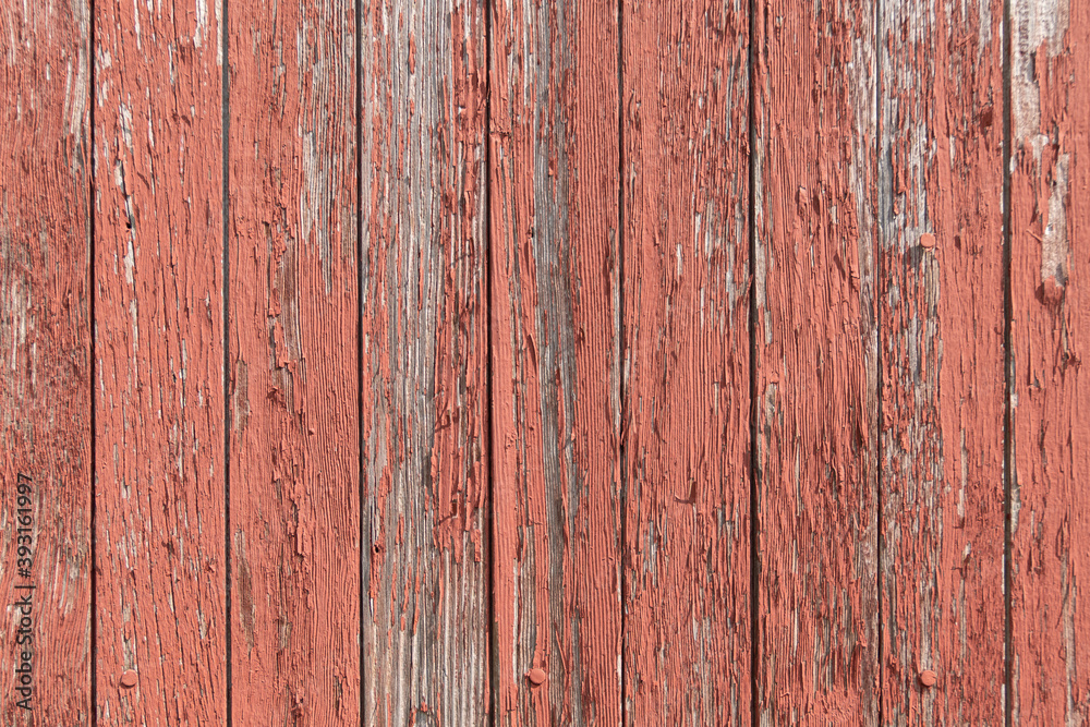 Fototapeta premium Red paint peeling off of old wooden boards on the side of a barn texture