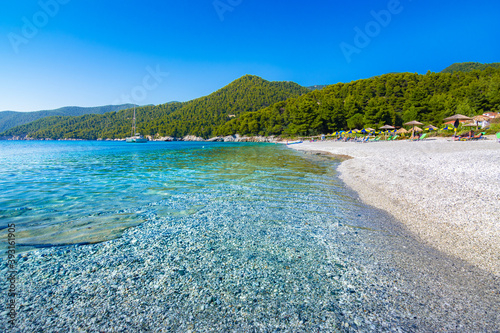 Fototapeta Naklejka Na Ścianę i Meble -  Amazing beach of Milia, Skopelos, Greece.