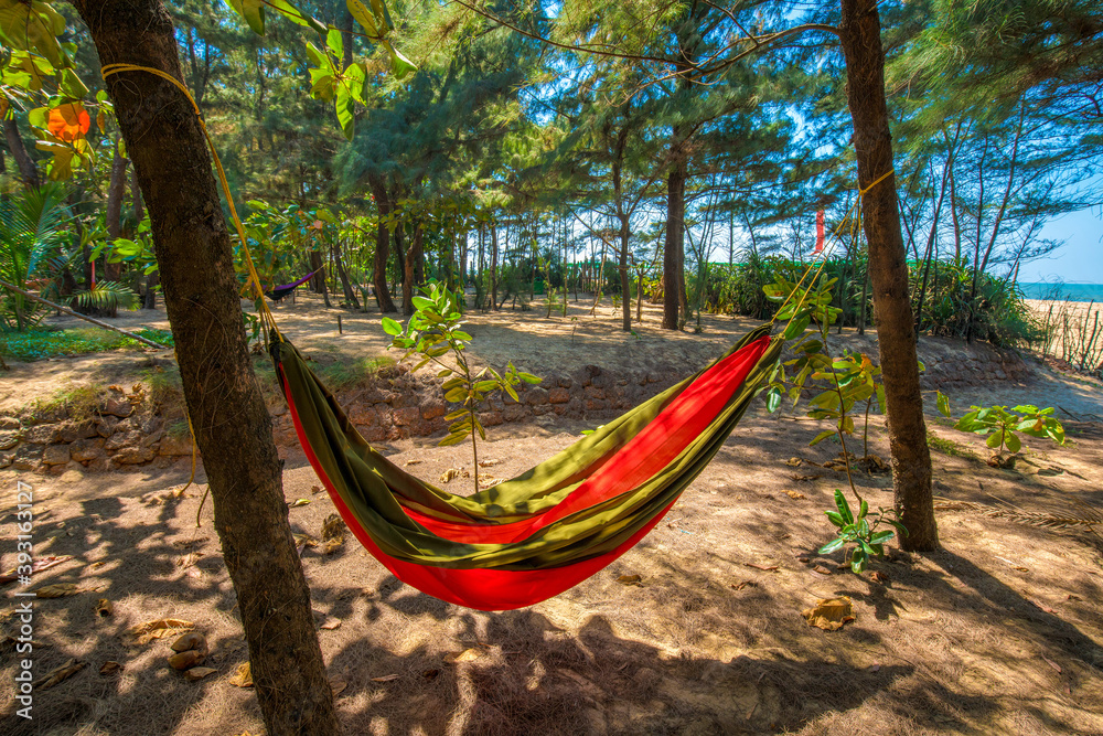Hammock in small forect close to Nirvana beach . Kumta district Hammock in small forect close to Nirvana beach . Kumta district