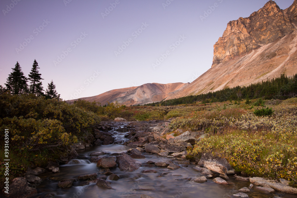 View of stream with rock formation in Jasper National Park View of stream with rock formation in Jasper National Park