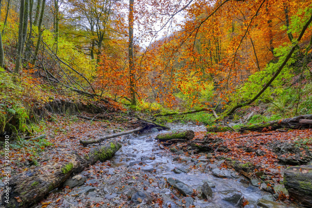 Wilder Bach in einer Schlucht bei Winterberg