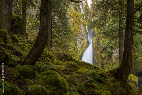 Scenic view of Wahclella Falls