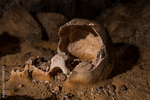 Close up of skull of Mayan sacrificial victim in Crystal Cave in Belize