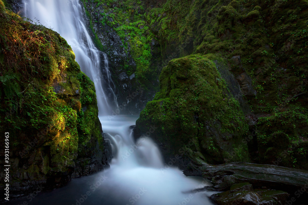 A glowing image of Susan Creek Falls surrounded by green moss in Oregon.