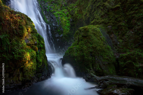 A glowing image of Susan Creek Falls surrounded by green moss in Oregon.