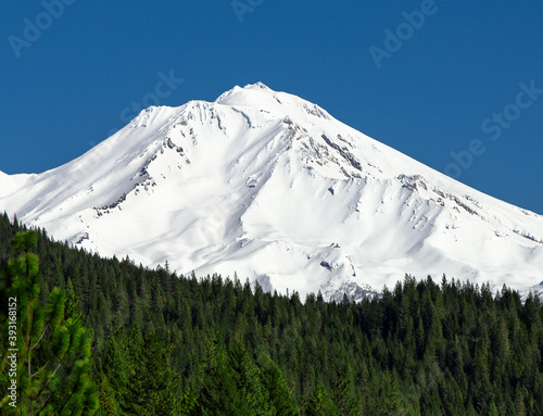 A stunning view of snow covered Mt. Shasta. Blue skies, green trees, snow covered mountain. 
