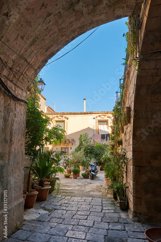 Fototapeta Naklejka Na Ścianę i Meble -  mediterranean backyard with plants in a sicilian village