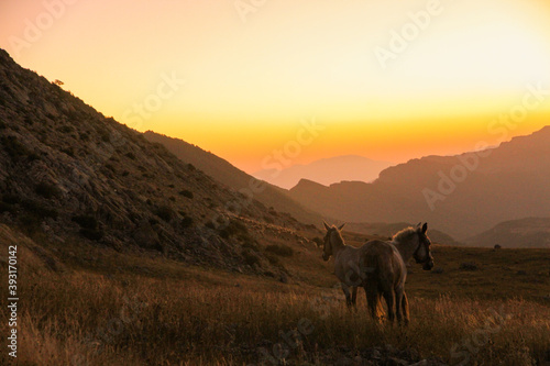 sunset time in Iran photo