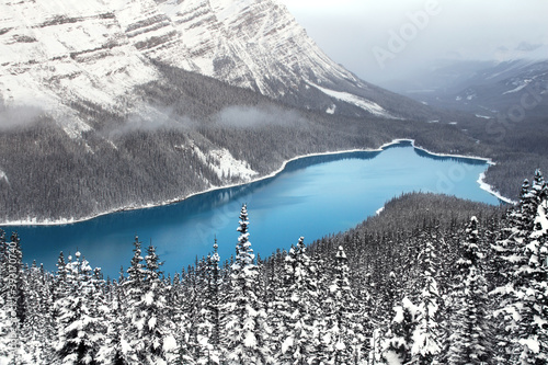 A winter wonderland at Peyto Lake in Banff National Park near the Icefields Parkway in the Canadian Rockies.  photo