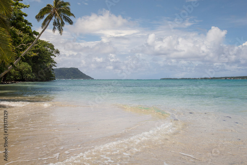 Leaning palm tree at white sand tropical beach with blue clear waters photo