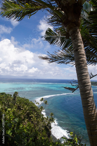 High angle view of fringing reef and shoreline with palm trees photo
