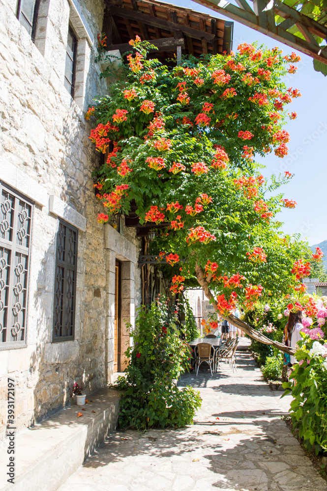 Naklejka premium Monastery in Montenegro. Garden