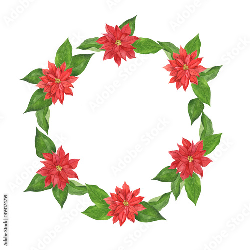 Red poinsettia flowers and green leaves round frame. Hand drawn watercolor illustration.