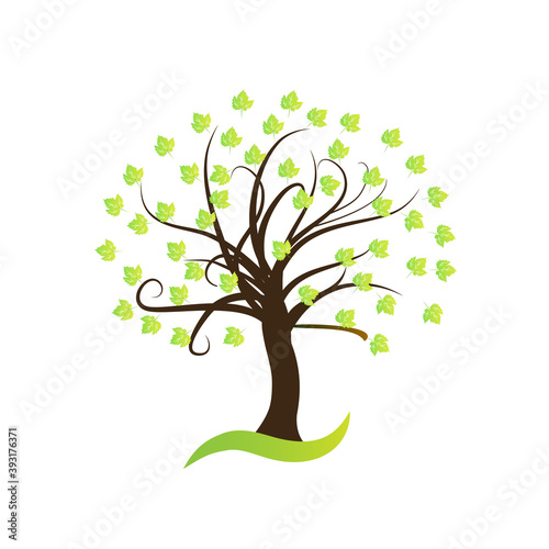 Tree Vector Ecology Symbol Logo Vector