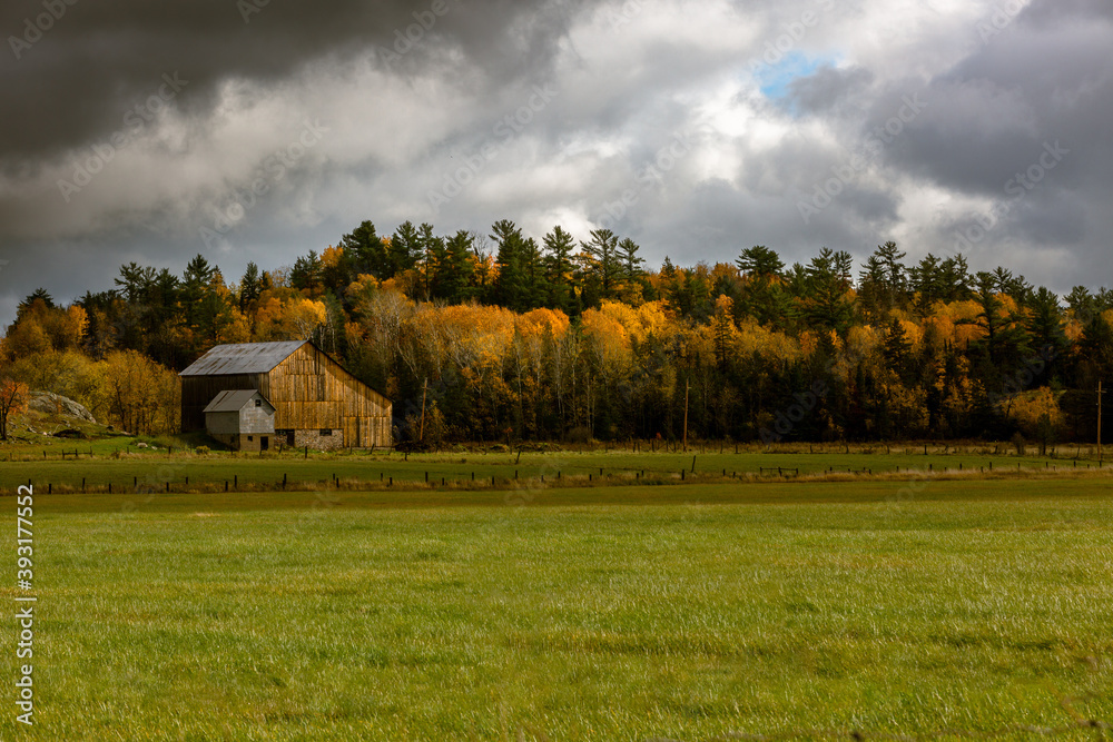 Obraz premium Old Barn in Sun